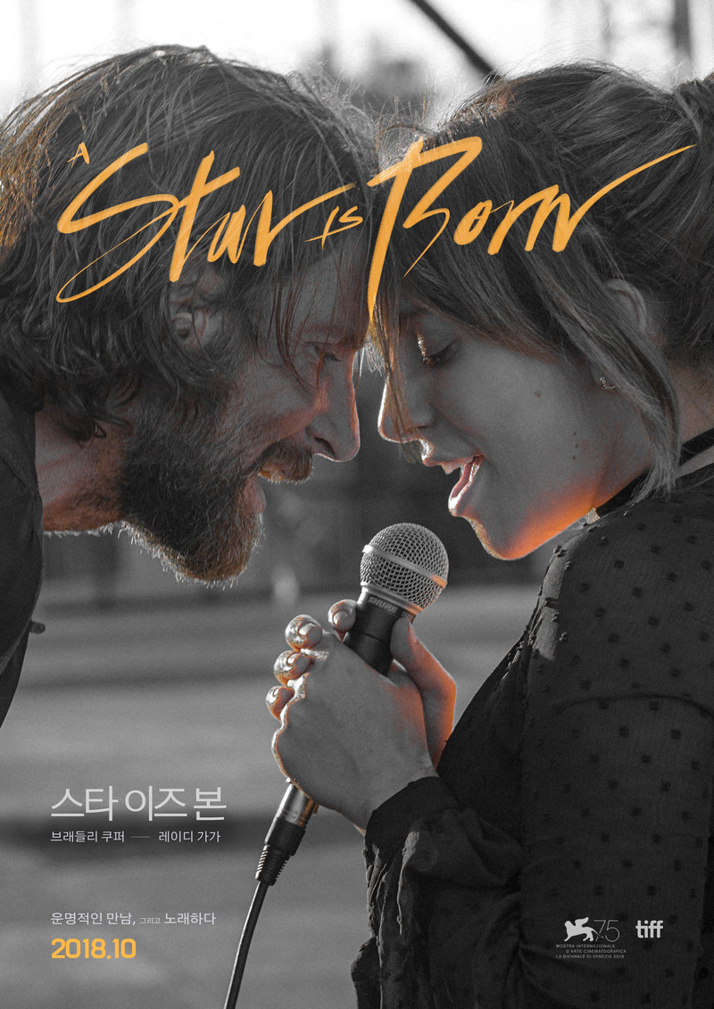 스타이즈본 포스터