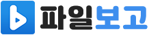 파일보고